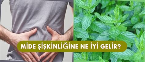 Mide Şişkinliğine İyi Gelen Çaylar Nelerdir?